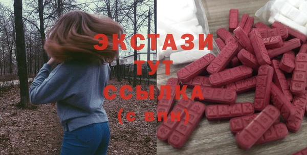 крисы Богородицк