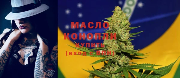 крисы Богородицк