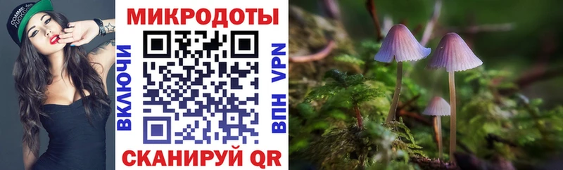 купить закладку  ОМГ ОМГ маркетплейс  Галлюциногенные грибы Psilocybine cubensis  Гудермес 