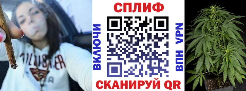 Марихуана семена Гудермес